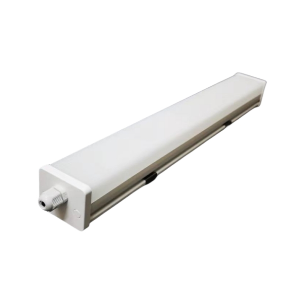CY-LN-008