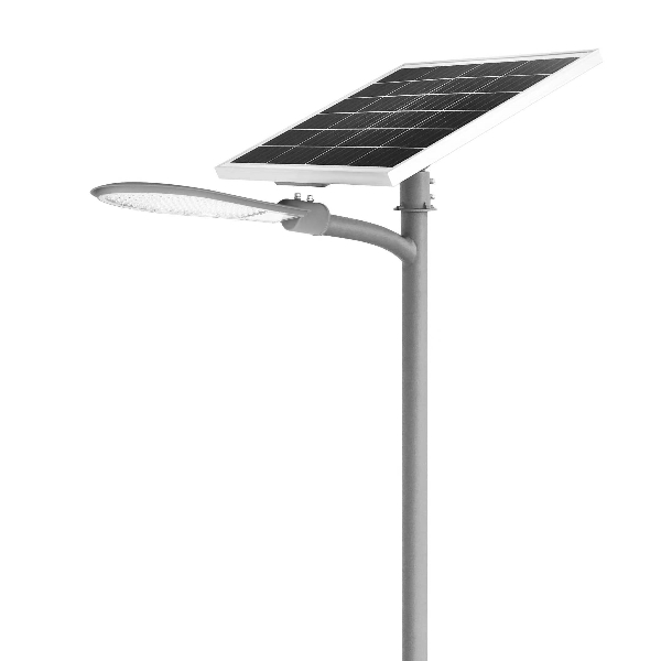 CY-SLSL-004